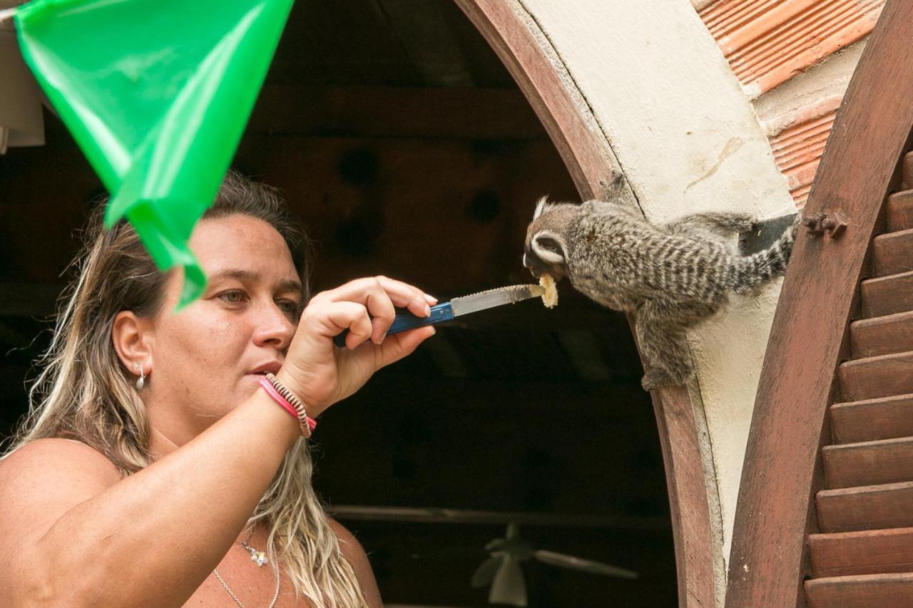 Porto De Galinhas Hostel エクステリア 写真